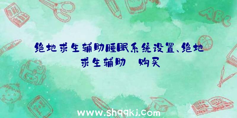 绝地求生辅助睡眠系统设置、绝地求生辅助